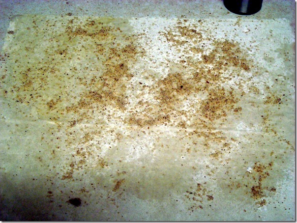 DSC02888